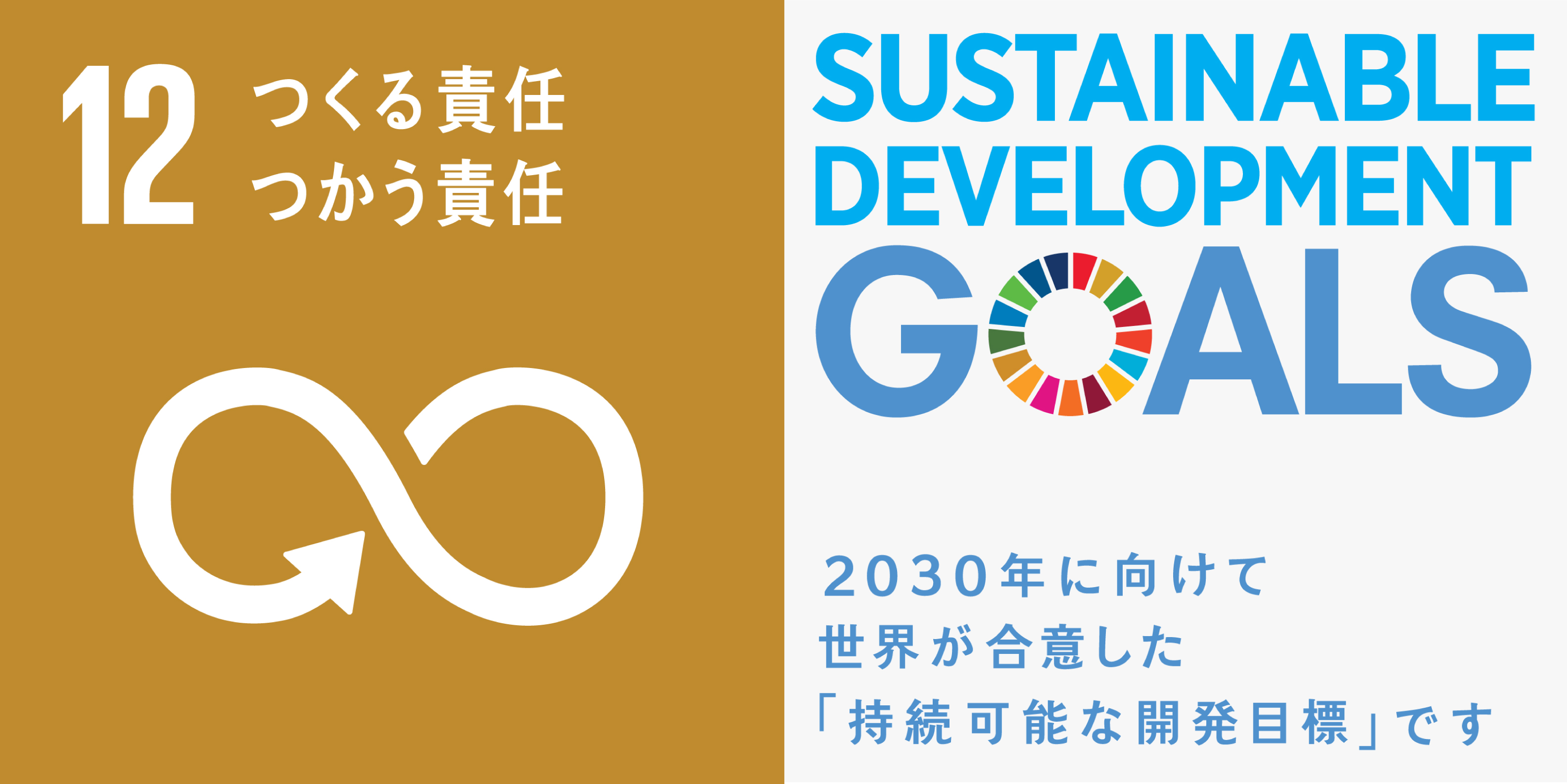 SDGs　つくる責任つかう責任